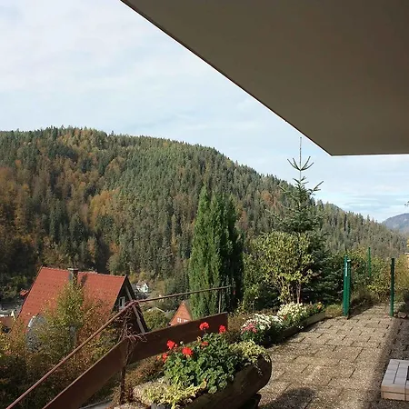 Ferienwohnung King Triberg im Schwarzwald Extérieur photo