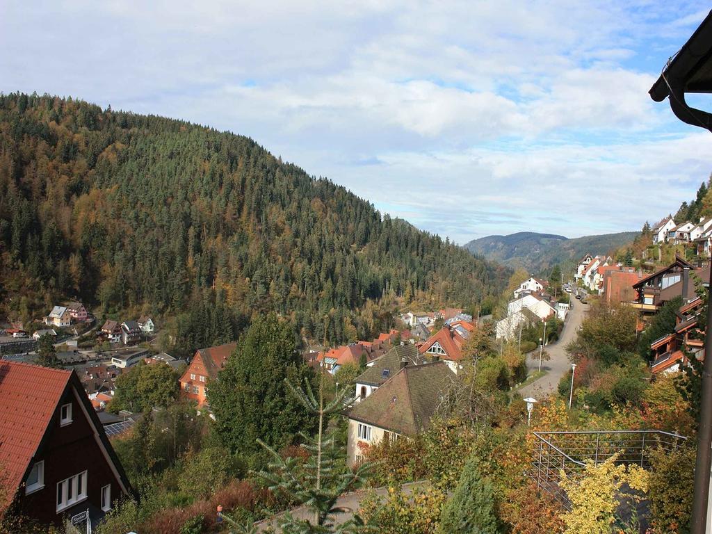 King * Triberg im Schwarzwald